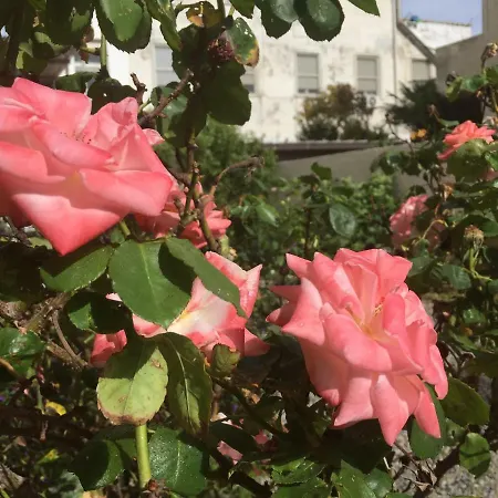 Poetto Seaside Cagliari